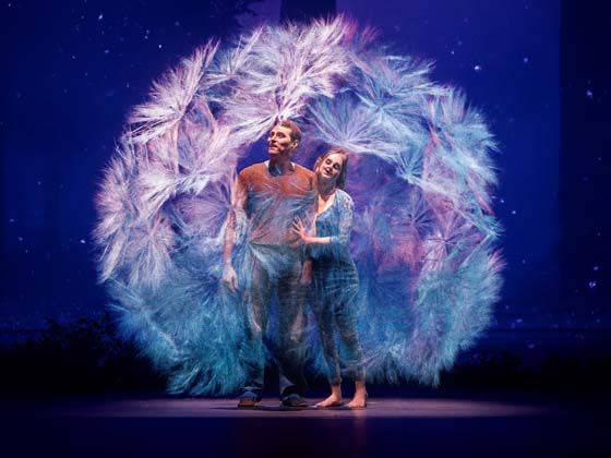 Cirque du Soleil ALIZÉ